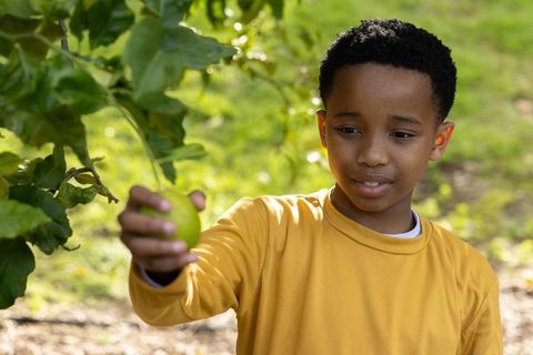 Curious african american boy holding green apple outdoors in sunlit backyard