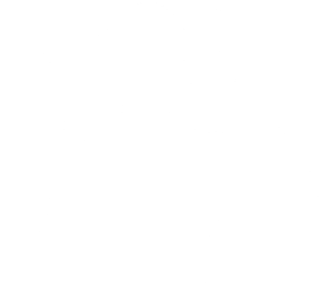 Silhouette of Male Golf Player on Transparent Background - Download Free Stock Videos Pikwizard.com