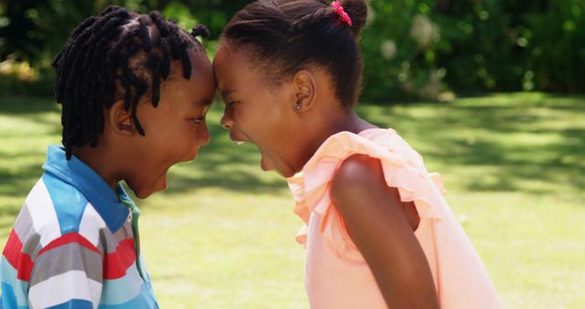 Young Siblings Playfully Yelling at Each Other Outside - Download Free Stock Images Pikwizard.com