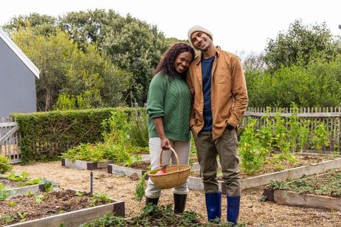 Smiling african american woman and partner harvesting vegetables in raised bed garden