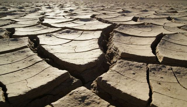 Parched cracked clay playa with deep fissures and textured mud plates