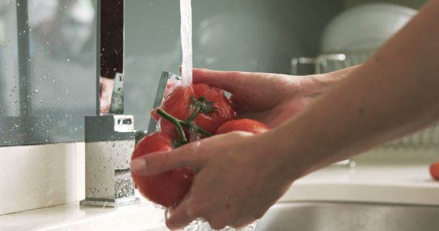 Washing Fresh Tomatoes Under Running Water in Kitchen Sink - Download Free Stock Images Pikwizard.com