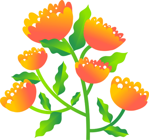 Vibrant floral illustration with orange blooms on transparent background