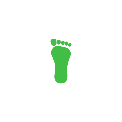 green footprint symbol on transparent background designates carbon neutral concept - Download Free Stock Videos Pikwizard.com