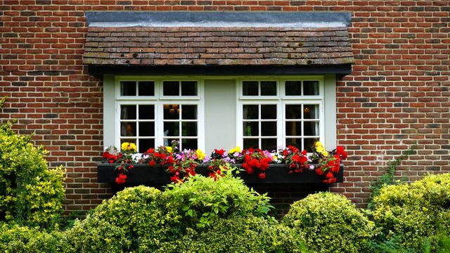Charming window of a brick house decorated with a vibrant flower box filled with colorful flowers. Surrounded by lush green plants, the scene evokes a sense of homeliness and warmth. Ideal for illustrating suburban living, gardening, landscaping, and home design.