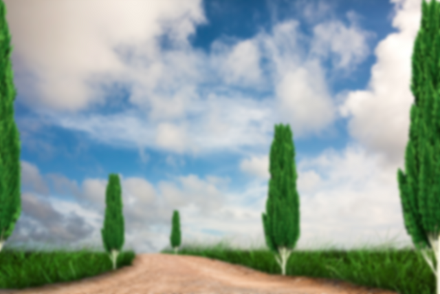 Transparent Landscape with Cypress Trees Lining Road under Cloudy Sky - Download Free Stock Videos Pikwizard.com