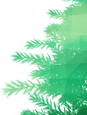 transparent geometric christmas tree branch design - Download Free Stock Videos Pikwizard.com