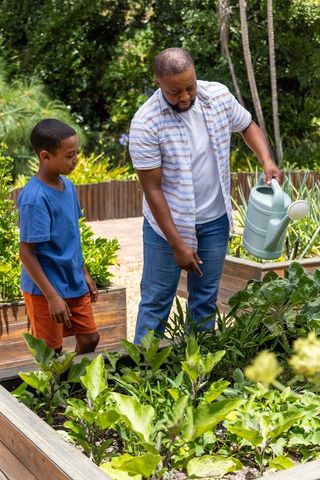 African american dad teaching son gardening, watering raised bed vegetables outdoors