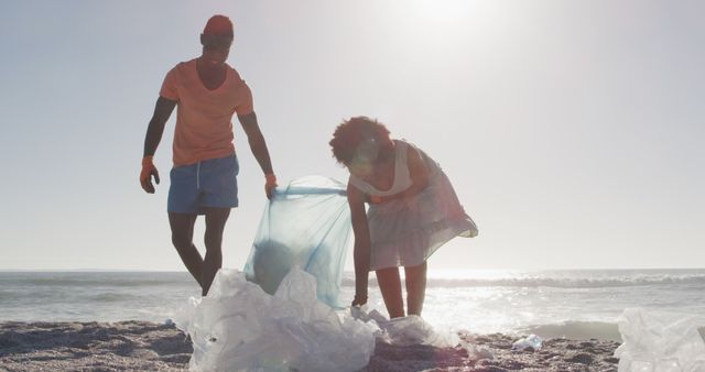 Team Cleaning Beach of Plastic Waste on Sunny Day - Download Free Stock Images Pikwizard.com