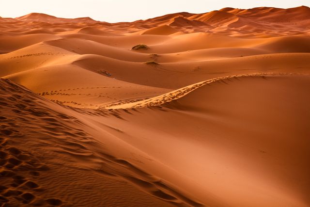 Golden Sand Dunes in Desert at Sunset - Download Free Stock Photos Pikwizard.com