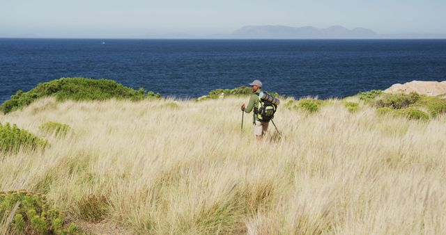 Individual hiking through tall grass on coastal trail with ocean in the background and mountains in the distance. Great for topics on outdoor adventure, nature photography, eco-tourism, physical activity, and scenic travel destinations. Perfect for promoting hiking gear, travel blogs, and nature conservation efforts.