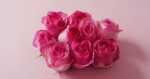 Pink Roses Bouquet on Pastel Background for Romantic Occasions - Download Free Stock Images Pikwizard.com