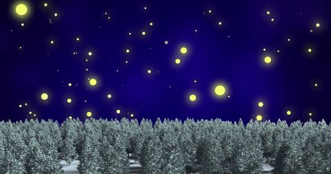 Christmas Trees Under Starry Night Lights in Winter Wonderland