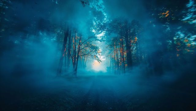 Mystical forest path at dawn with sunlit foggy trees
