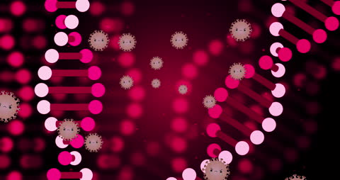 Digital Animation of DNA Strands and Cells