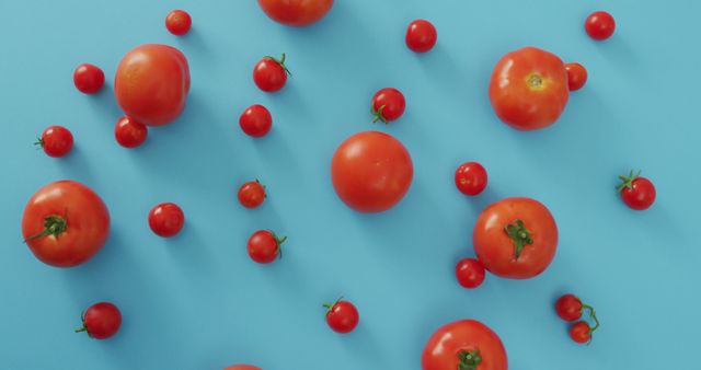 Fresh Tomatoes and Cherry Tomatoes Arranged on Blue Background - Download Free Stock Images Pikwizard.com