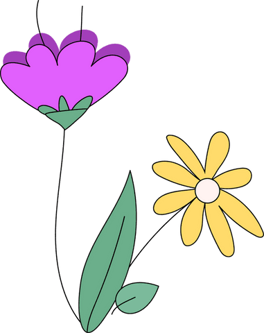 Minimalist Floral Illustration with Transparent Background