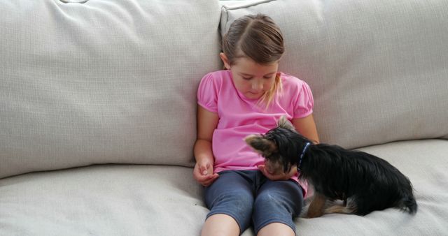 Young Girl Playing with Small Dog on Couch at Home - Download Free Stock Images Pikwizard.com