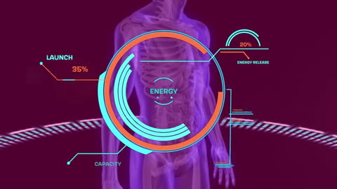 Animated Energy Levels Overlay on Human Anatomy Visualization