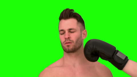 Boxer Getting Punched on Green Screen Background
