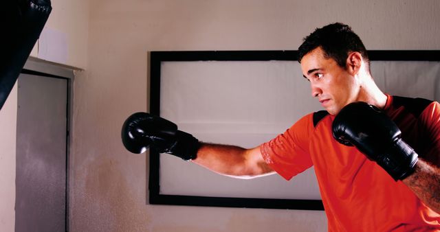 Determined Boxer Training with Punching Bag Indoors - Download Free Stock Images Pikwizard.com