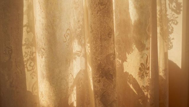 Sunlight filtering through lace curtains casting soft plant silhouettes and warm texture