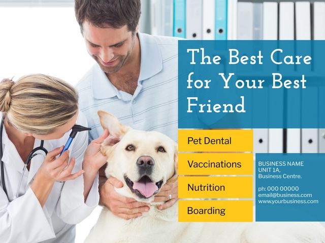 Veterinarian Exam Decorating Office with Happy Dog and Care Options - Download Free Stock Templates Pikwizard.com