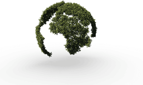 transparent globe with lush foliage celebrating nature - Download Free Stock Videos Pikwizard.com