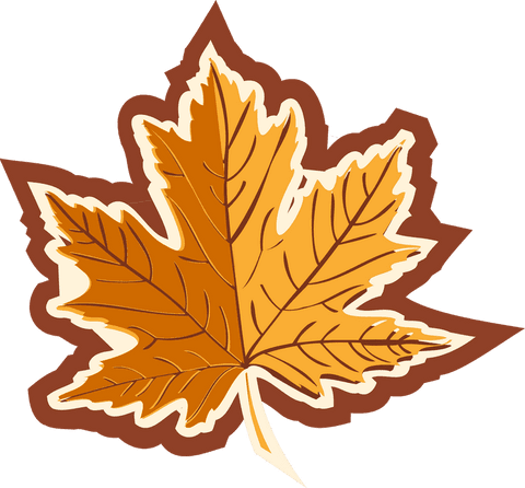 flat design maple leaf with transparent background - Download Free Stock Videos Pikwizard.com