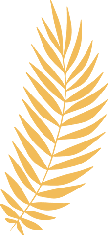 Golden tropical palm frond on transparent background