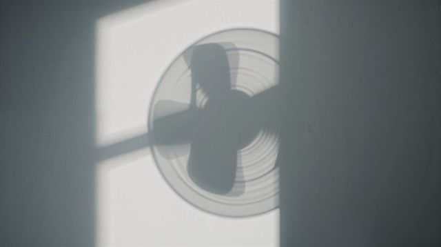 Casting fan shadow overlapping human silhouette on sunlit wall with geometric window light