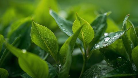 Glistening Dew Beading on Verdant Veined Leaves Macro Foliage Texture and Freshness