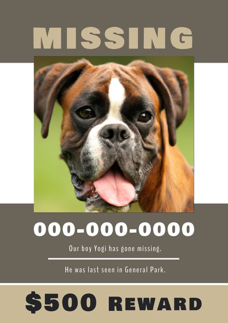 Poster for missing boxer dog with reward offer. Features dog's photo, contact number for leads, location information. Suitable for community boards, social media posts, neighborhood distribution to assist in pet recovery efforts.