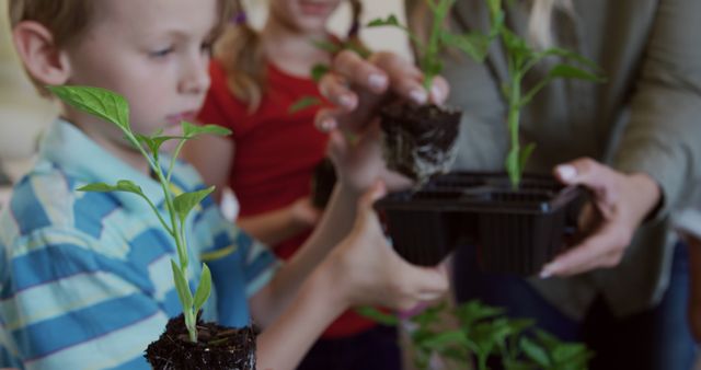 Caucasian boy and female teacher studying plants in elementary school ecology class, copy space - Download Free Stock Photos Pikwizard.com