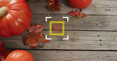 Rustic Autumn Leaves and Pumpkins on Weathered Wood - Download Free Stock Images Pikwizard.com