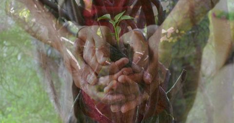 Family Bonding Through Tree Planting and Nature Conservation