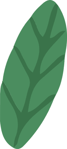 Flat Green Leaf Illustration on Transparent Background for Eco Design - Download Free Stock Videos Pikwizard.com