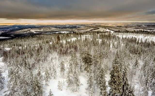 Aerial view of a snow-covered forest during sunset. Can be used for nature themes, winter sports promotions, travel brochures, or holiday greetings.