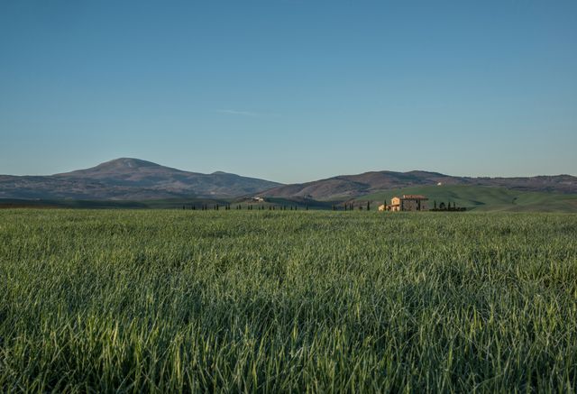 Wide shot of a peaceful rural setting featuring expansive green fields with distant rolling hills under a clear blue sky. Ideal for use in travel brochures, nature magazines, posters promoting countryside vacations, or stress-relief advertisements due to its calming and serene nature. Offers viewers a sense of space and freedom.