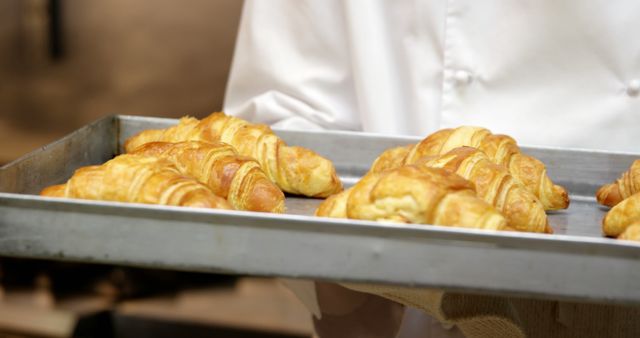 Ideal for use in bakery promotional materials, cooking blogs, culinary websites, and food-related presentations. The image showcases freshly baked croissants on a tray, indicating a professional baking environment with a hint of delicious and appetizing aroma from the baked goods.