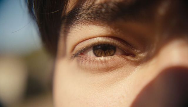 Close-up brown eye reflecting warm sunlight macro portrait showing skin texture eyelashes