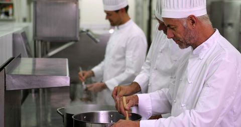 Professional Chefs Cooking in Commercial Kitchen