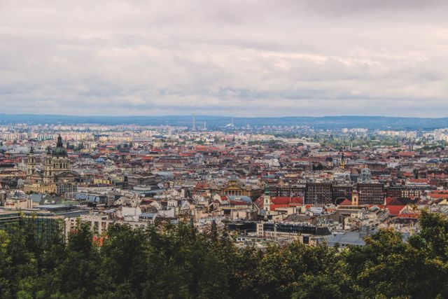 Panoramic view showcasing the diverse architecture of a historic European city. Cloudy sky complements the intricate arrangement of rooftops and prominent historic buildings. Ideal for use in travel brochures, cultural studies, or geographic orientation materials.
