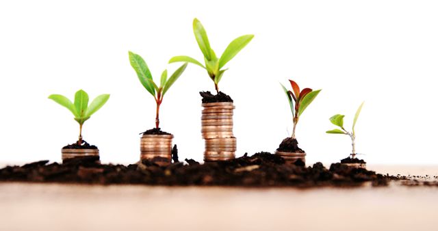 Young green plants growing on stacks of coins symbolize financial growth and investment. Perfect for use in articles or advertisements about personal finance, retirement planning, savings accounts, stock investments, or business development.