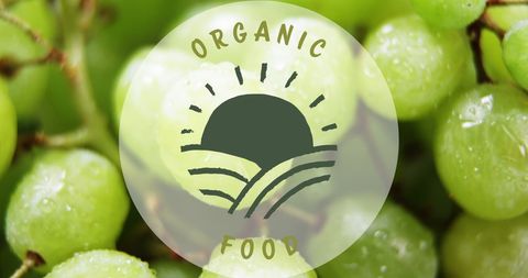 Organic food concept with fresh dewy grapes background