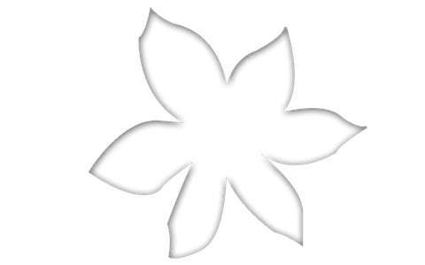 Transparent silhouette of floral blossom on white background
