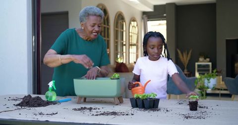 Grandmother teaching granddaughter container gardening and watering seedlings on sunny porch