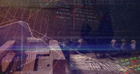 Digital Integration in Farming with Hens