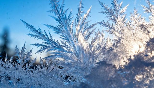 Backlit fernlike frost crystals on window pane with sun glare and blue morning light