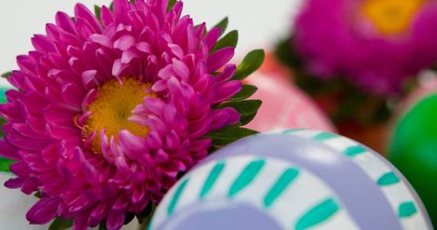 Easter Celebration with Colorful Eggs and Vibrant Flowers - Download Free Stock Images Pikwizard.com